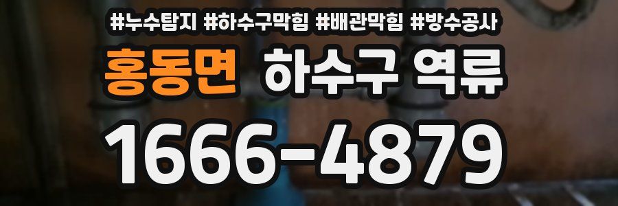 홍동면 하수구 역류