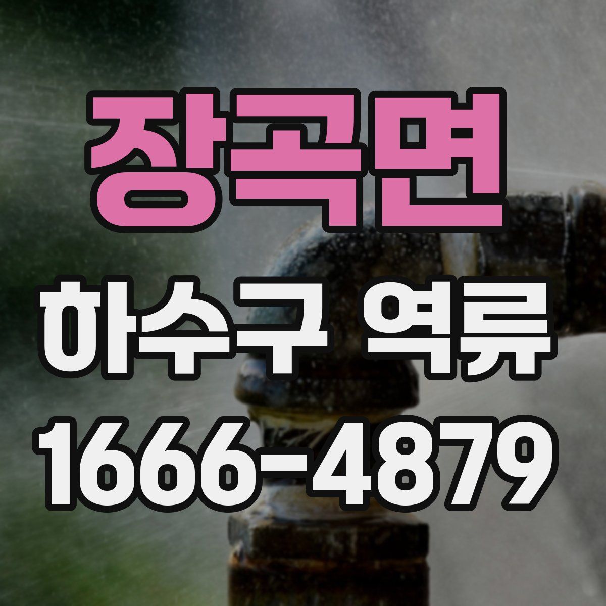 장곡면 하수구 역류