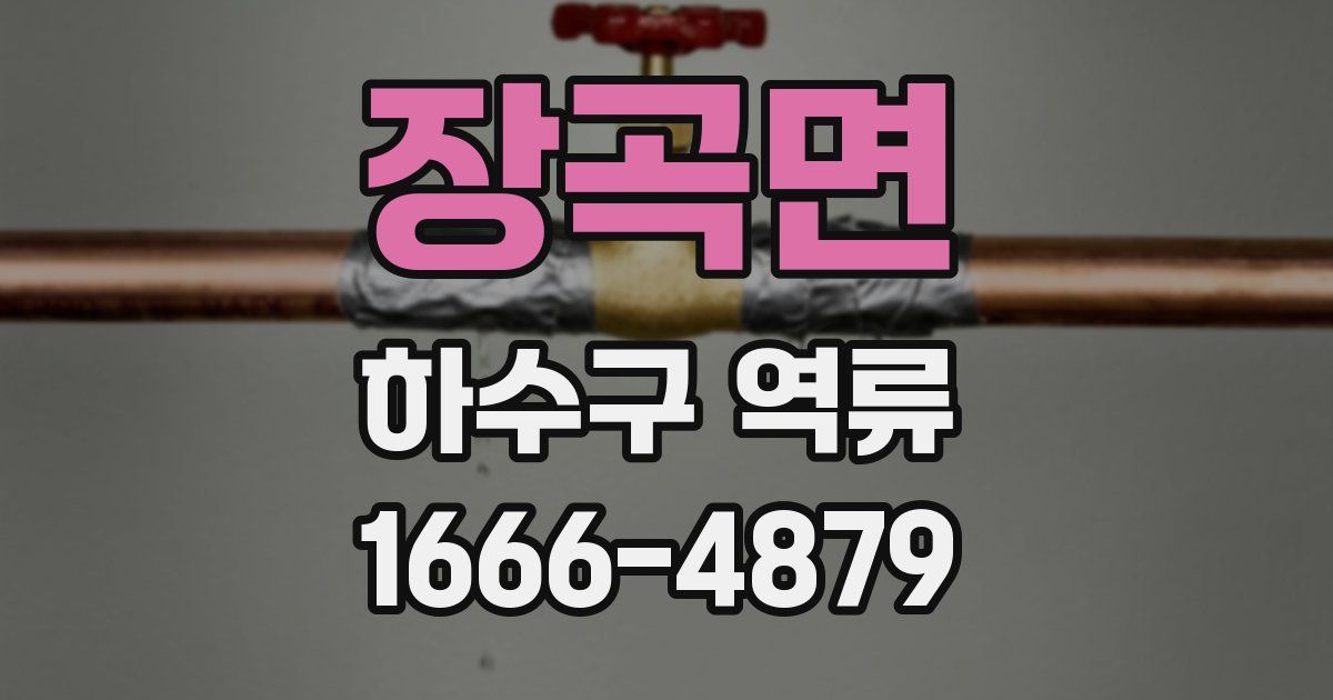 장곡면 하수구 역류