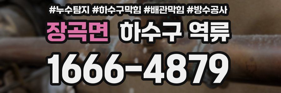 장곡면 하수구 역류