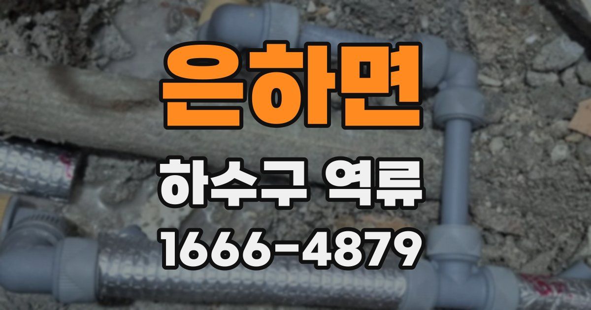 은하면 하수구 역류