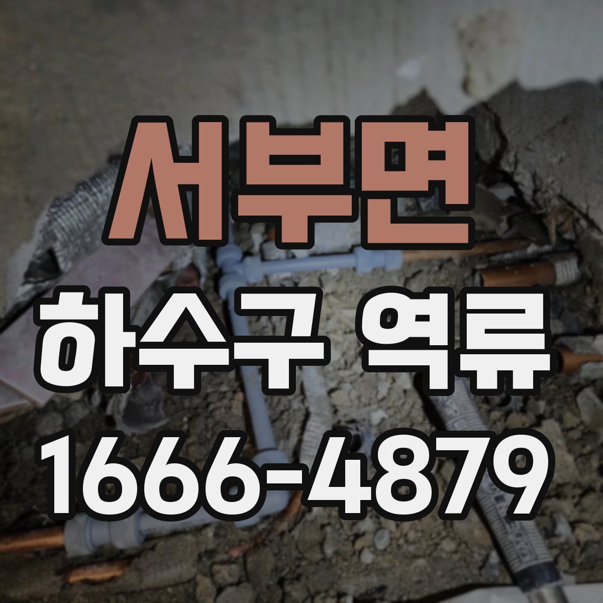 서부면 하수구 역류