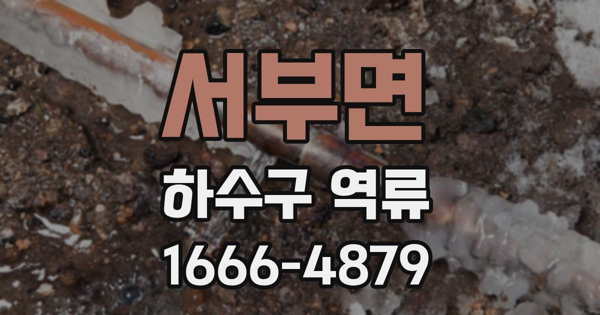 서부면 하수구 역류