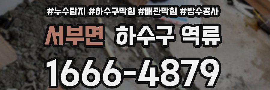 서부면 하수구 역류