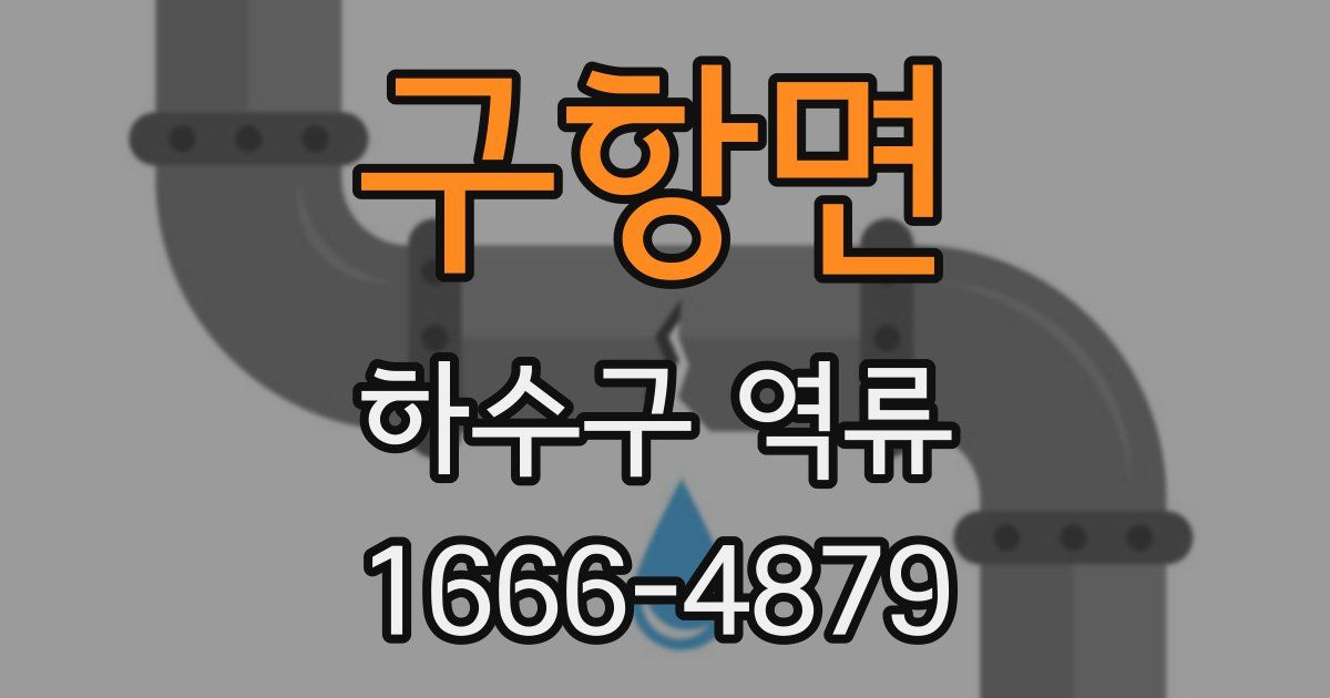 구항면 하수구 역류