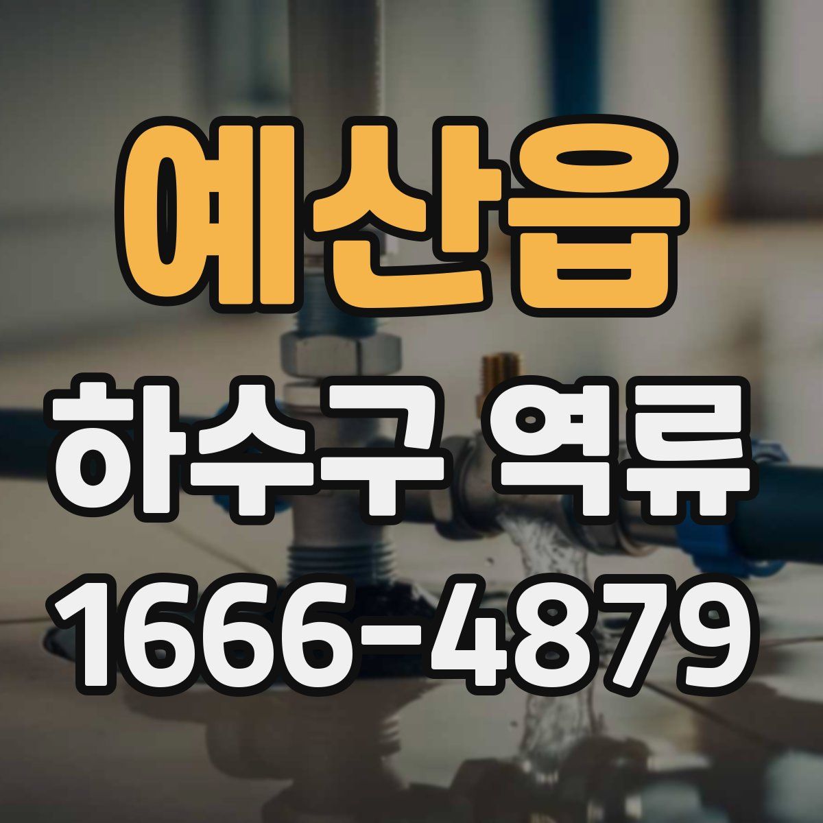 예산읍 하수구 역류