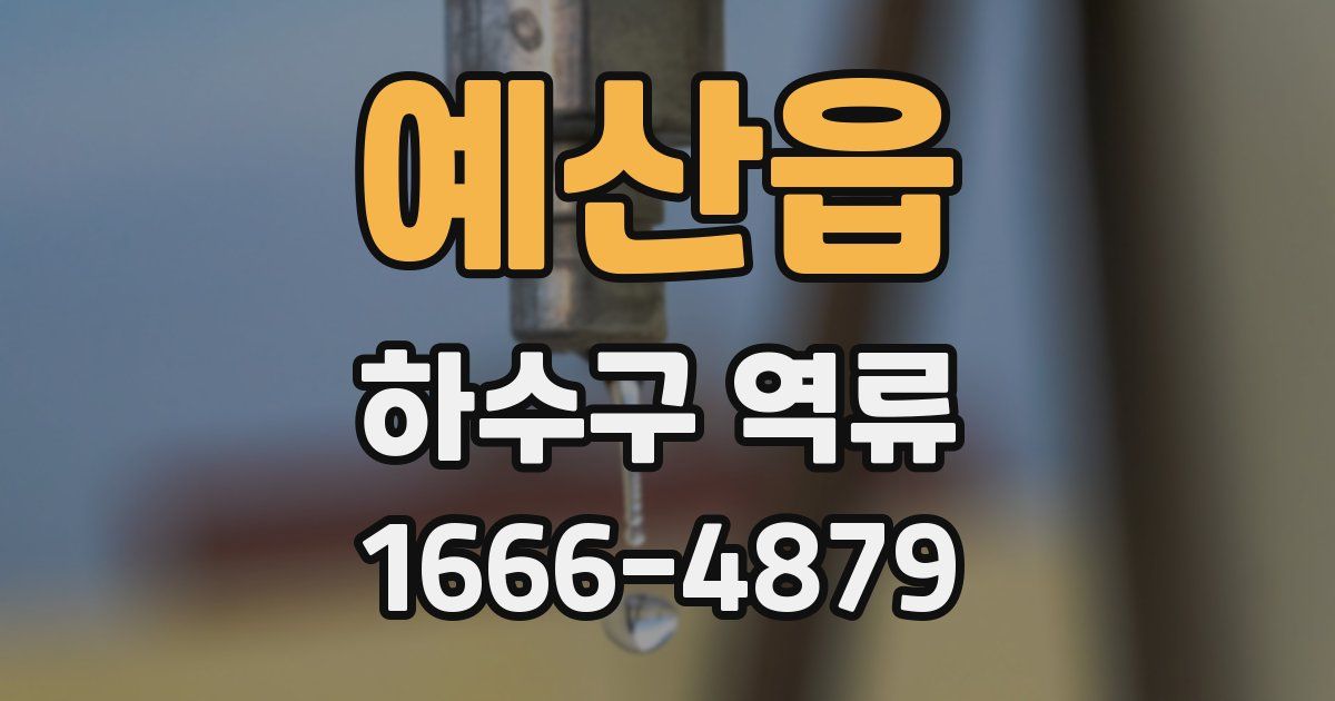 예산읍 하수구 역류