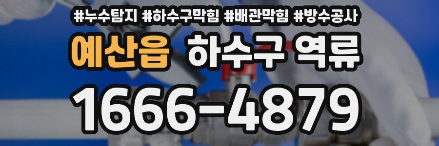 예산읍 하수구 역류