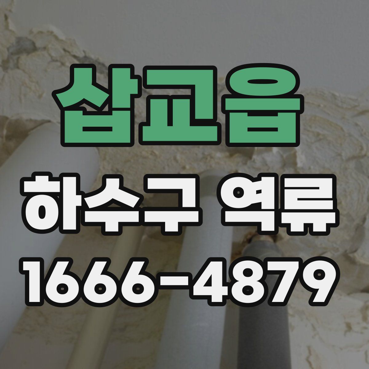 삽교읍 하수구 역류