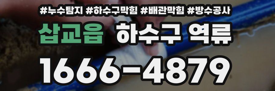 삽교읍 하수구 역류