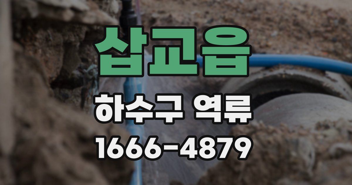 삽교읍 하수구 역류