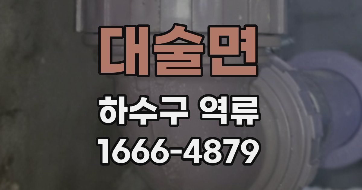 대술면 하수구 역류