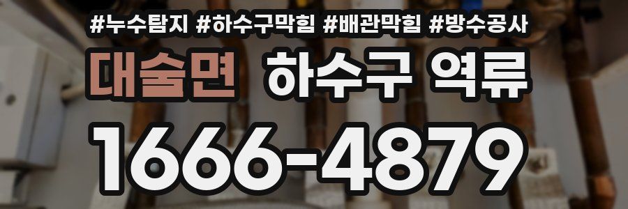 대술면 하수구 역류