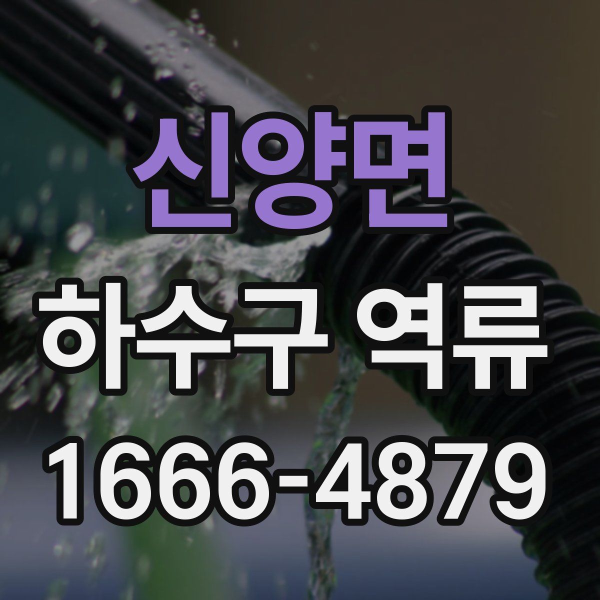 신양면 하수구 역류