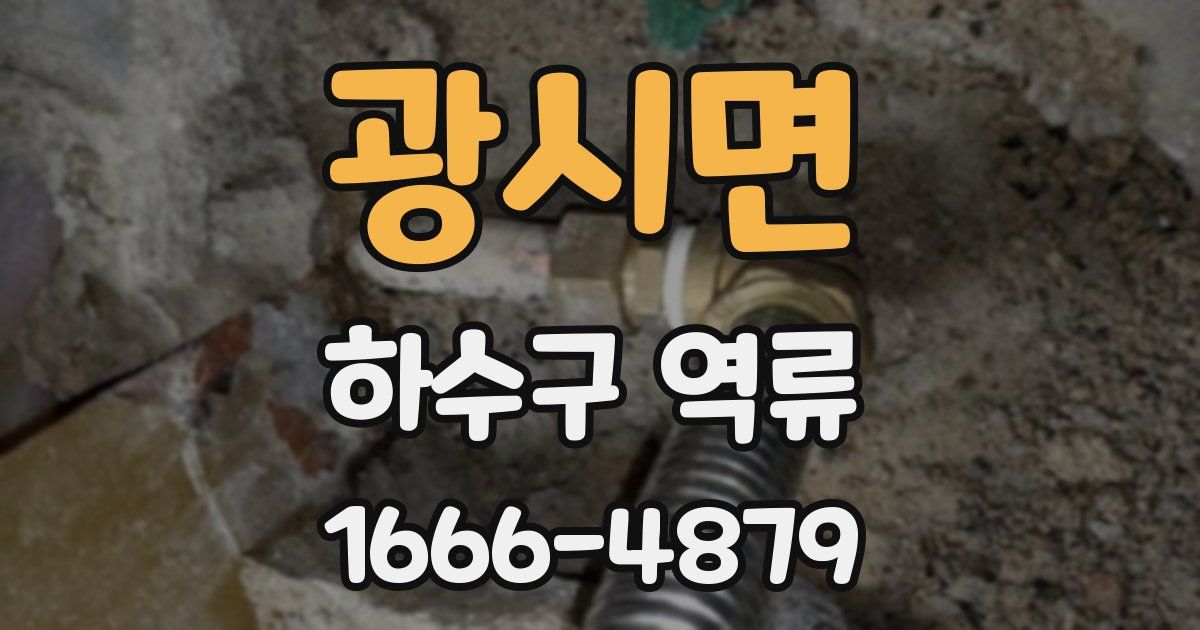 광시면 하수구 역류