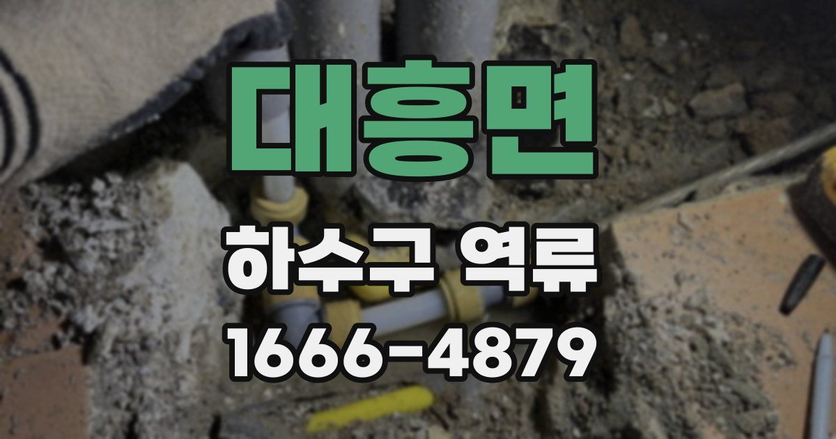 대흥면 하수구 역류