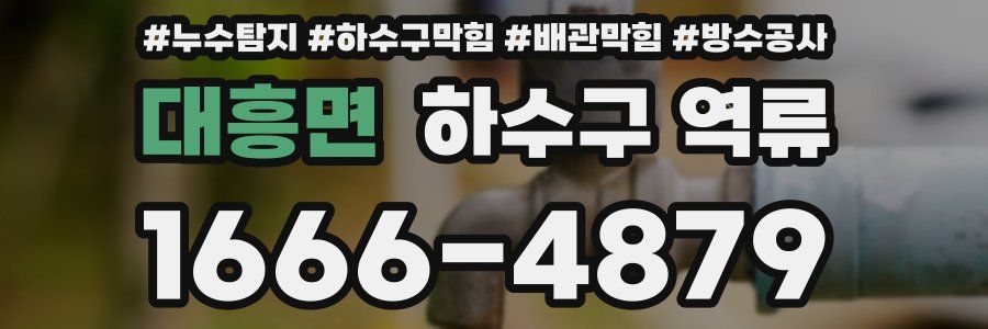 대흥면 하수구 역류