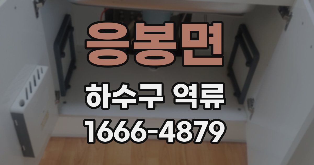 응봉면 하수구 역류