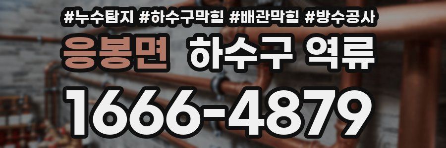 응봉면 하수구 역류