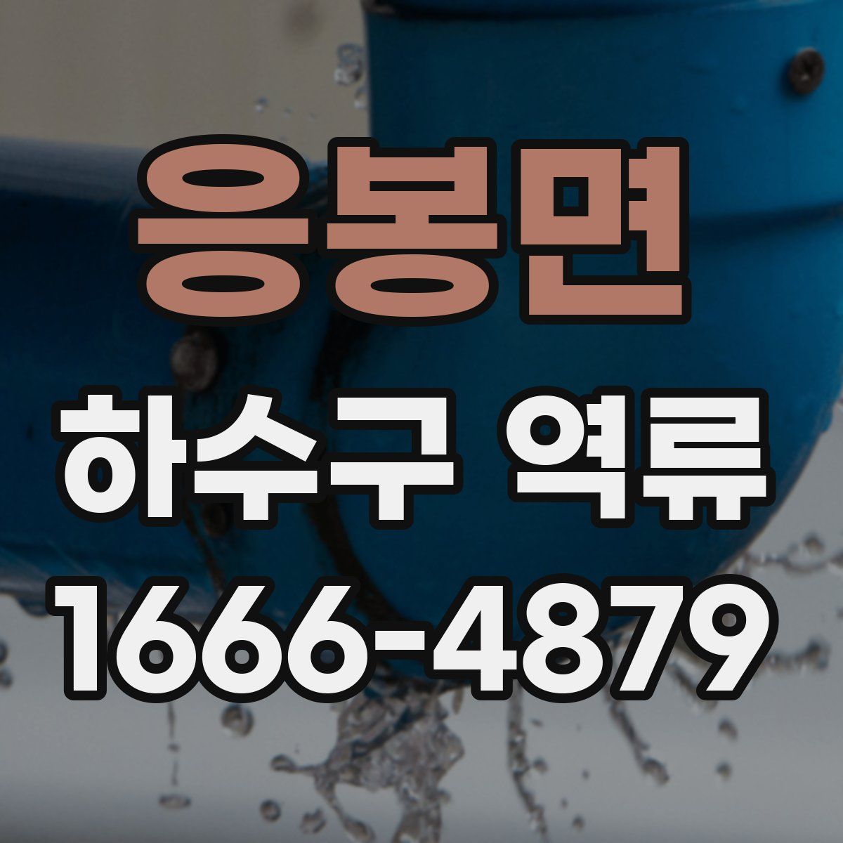 응봉면 하수구 역류