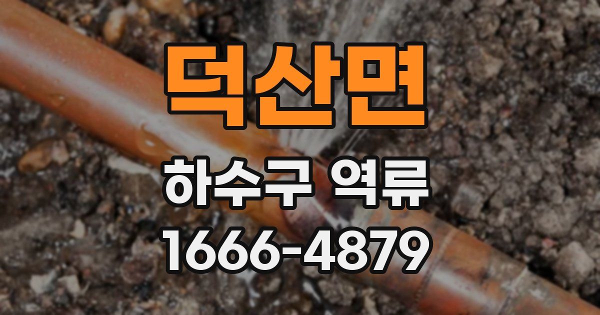 덕산면 하수구 역류
