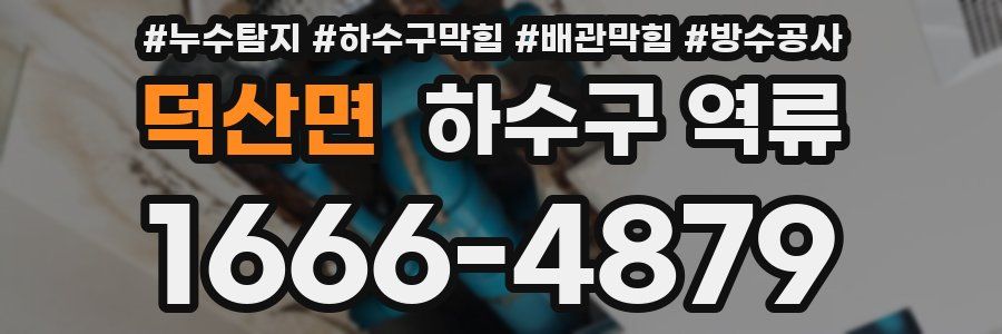 덕산면 하수구 역류