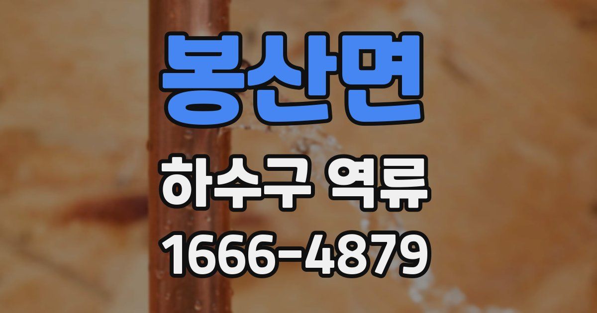 봉산면 하수구 역류