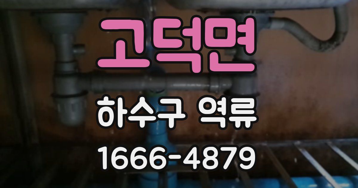 고덕면 하수구 역류