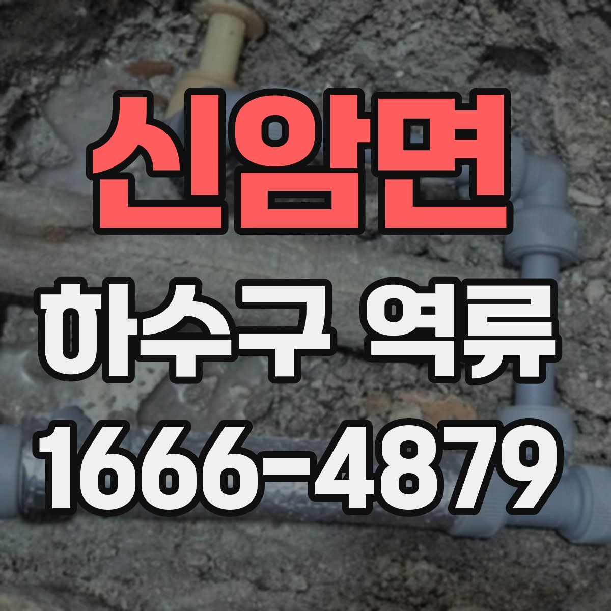 신암면 하수구 역류