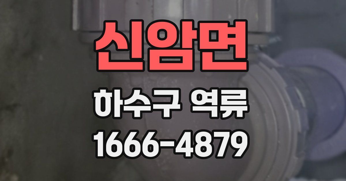 신암면 하수구 역류