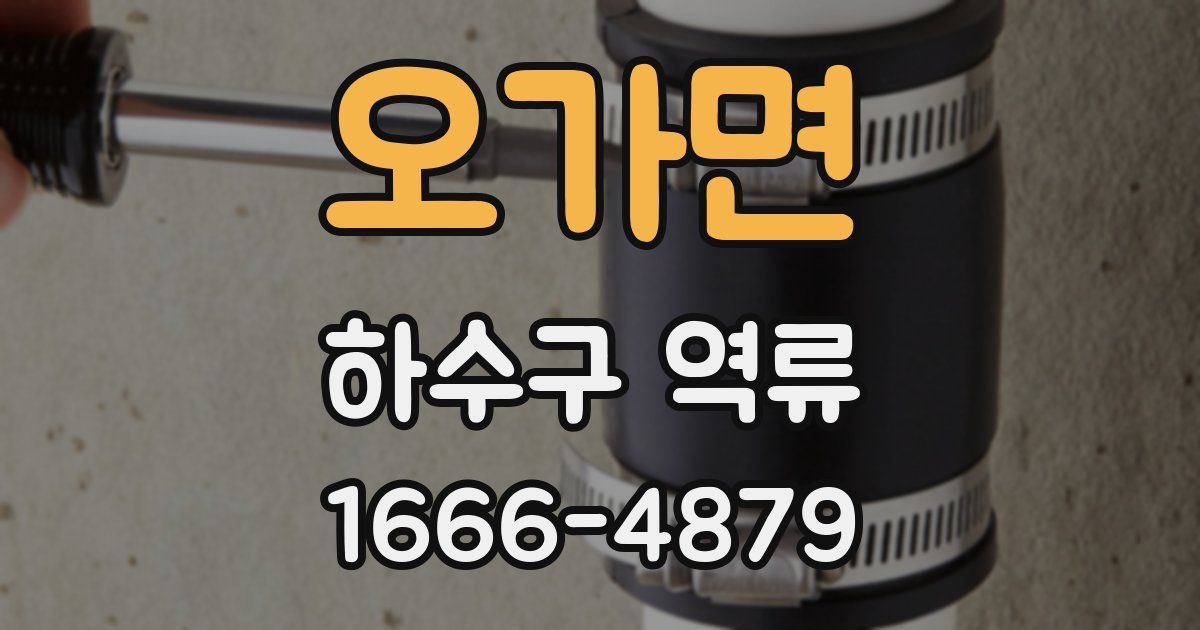 오가면 하수구 역류