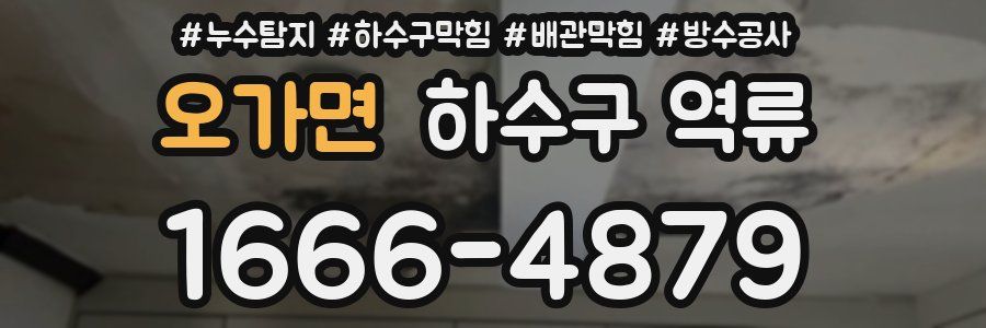 오가면 하수구 역류