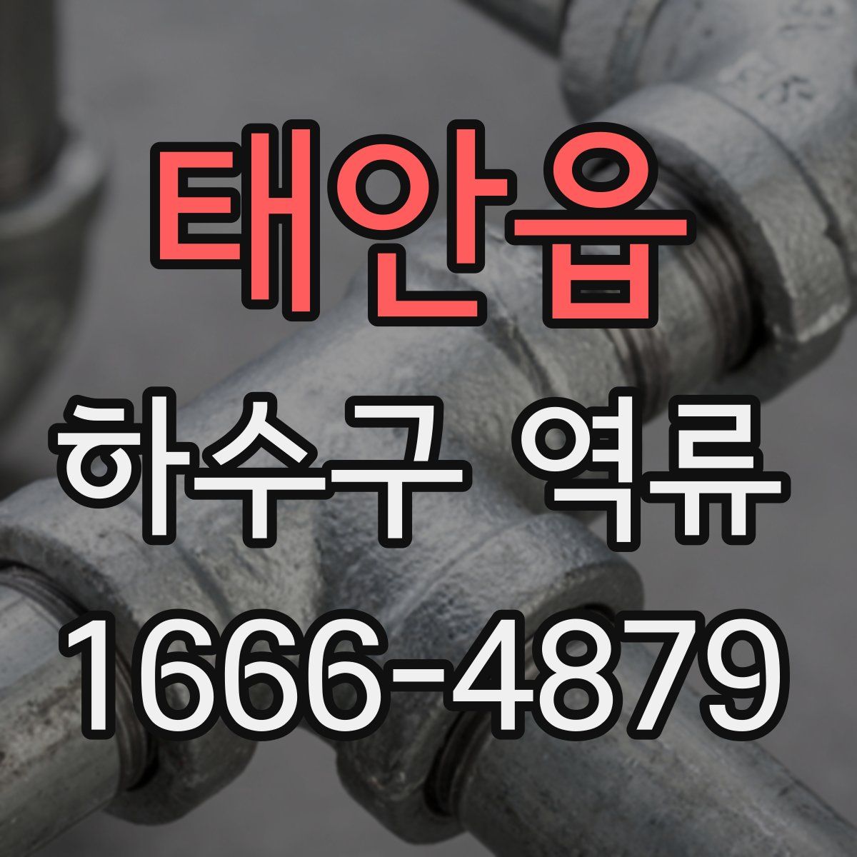태안읍 하수구 역류