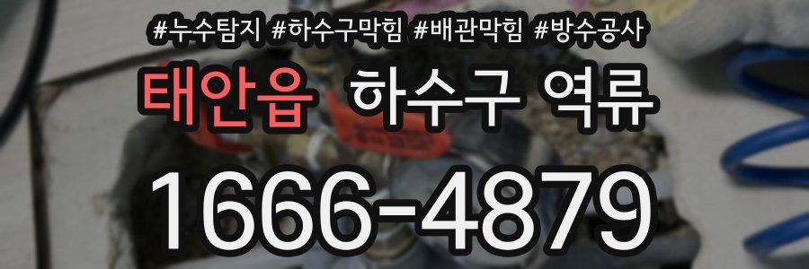 태안읍 하수구 역류