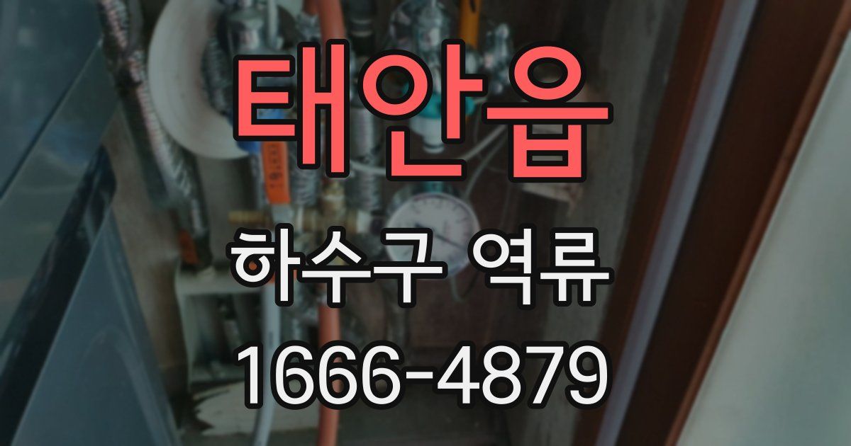 태안읍 하수구 역류