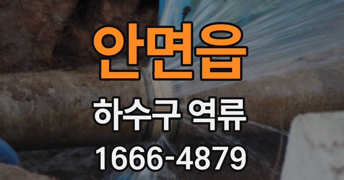 안면읍 하수구 역류