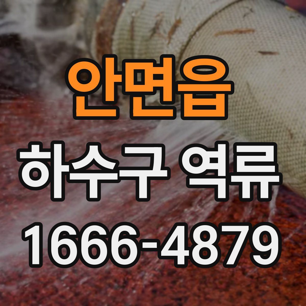안면읍 하수구 역류