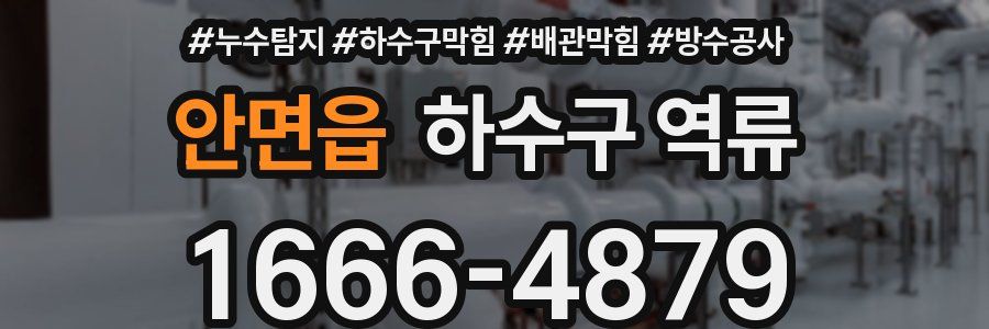 안면읍 하수구 역류