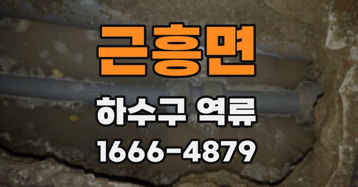근흥면 하수구 역류