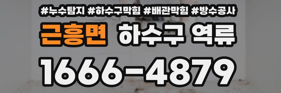 근흥면 하수구 역류