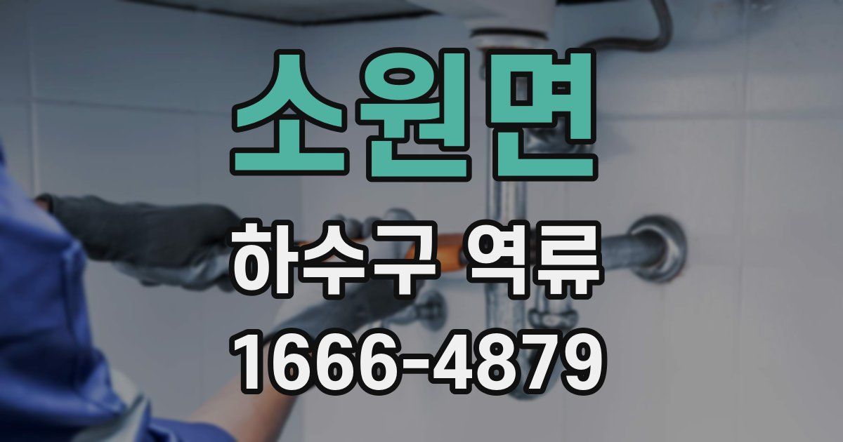 소원면 하수구 역류