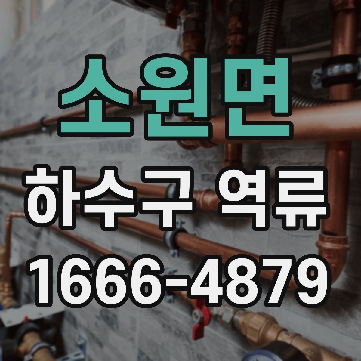 소원면 하수구 역류