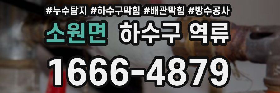 소원면 하수구 역류