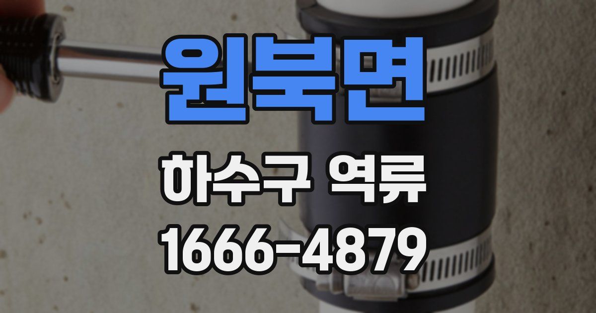 원북면 하수구 역류