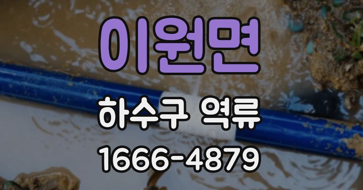 이원면 하수구 역류