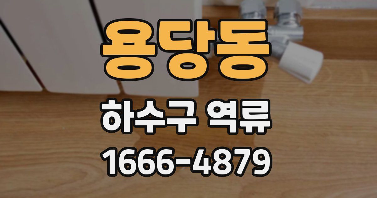 용당동 하수구 역류