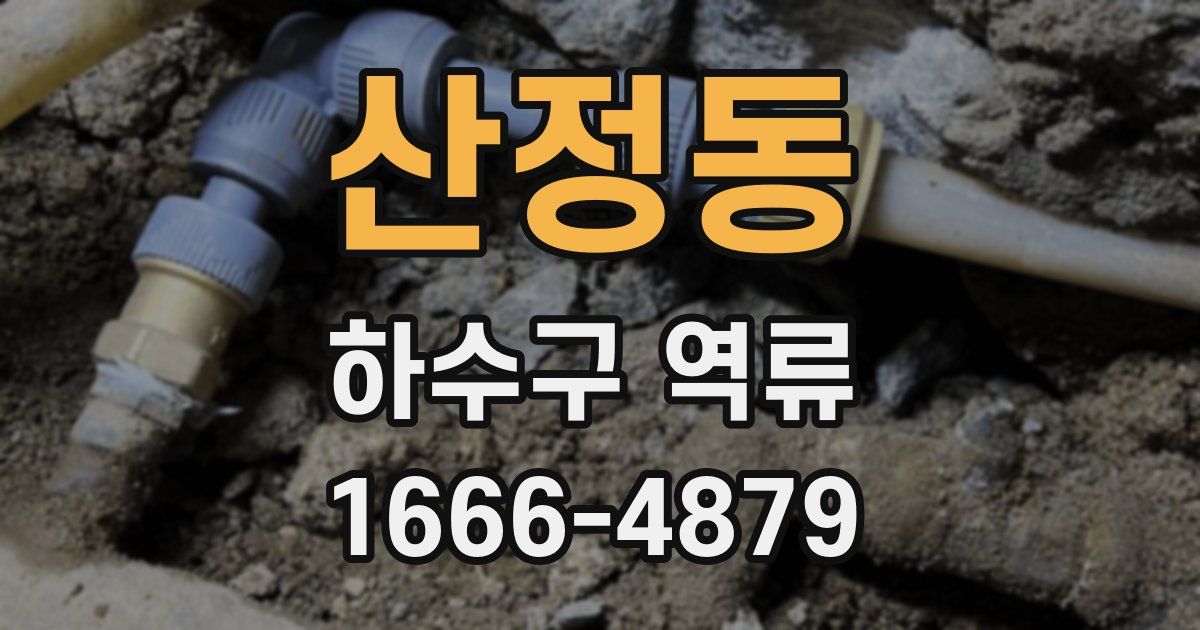 산정동 하수구 역류