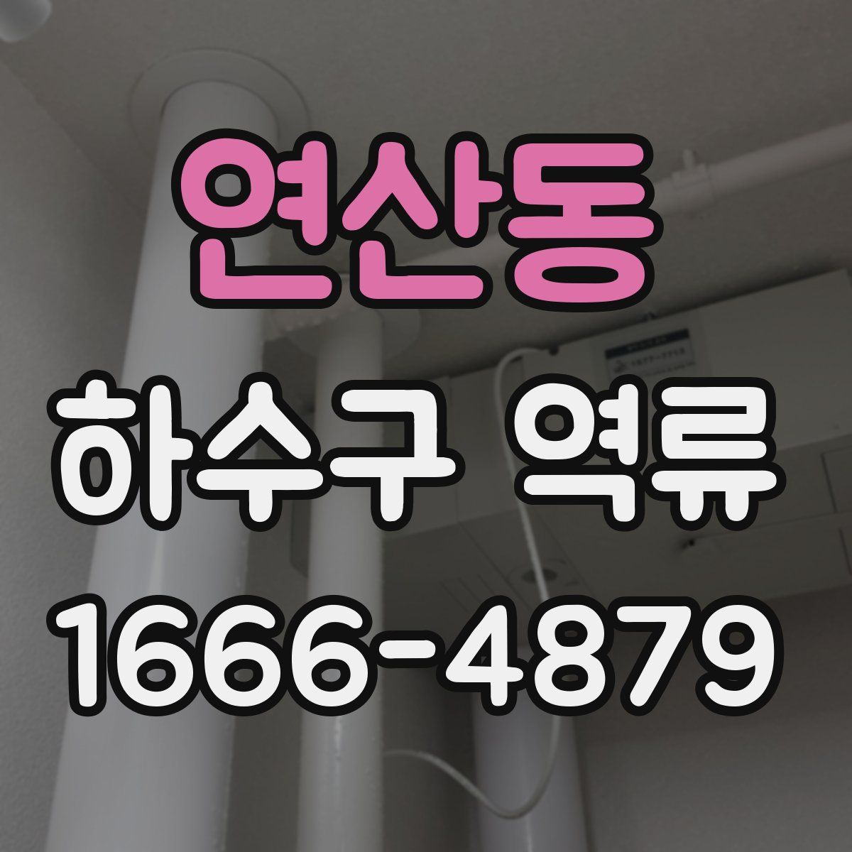 연산동 하수구 역류