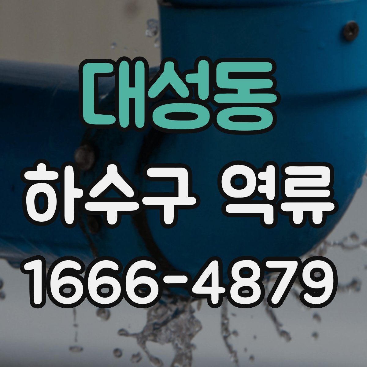 대성동 하수구 역류