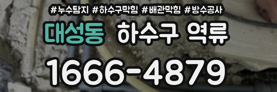 대성동 하수구 역류